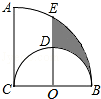 同桌100學(xué)習(xí)網(wǎng)